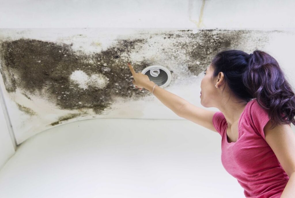 roof leaks